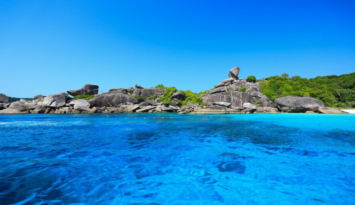 SIMILAN-21