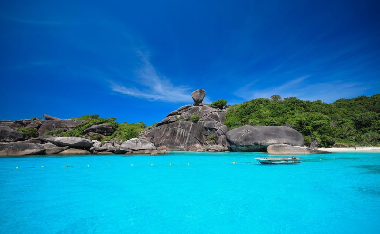 SIMILAN-6